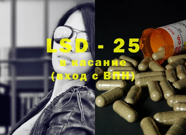 ГАЛЛЮЦИНОГЕННЫЕ ГРИБЫ Алзамай