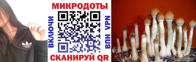 Галлюциногенные грибы Cubensis Болхов